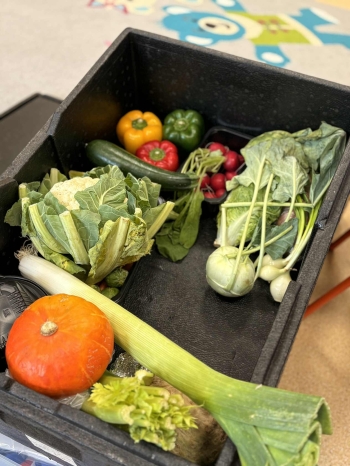 7441f24d-a2ea-4861-8394-94ba1a8a801c