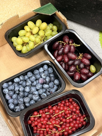 b0ff2734-7ac7-4bdd-8b44-b0fa1e6f6ff1