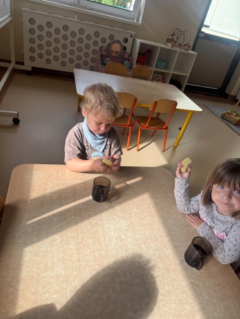 22363958-53ab-4416-9f17-7d1b985ae985.jpeg