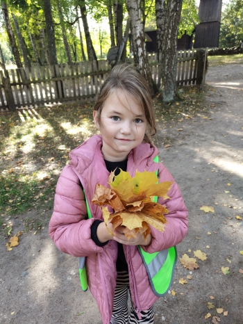 IMG20261001120055