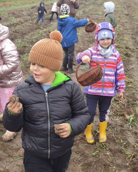 Dzień Ziemniaka - wykopki